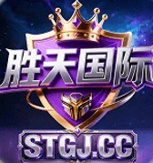 胜天国际